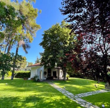 Villa Diomedes in Sani Beach