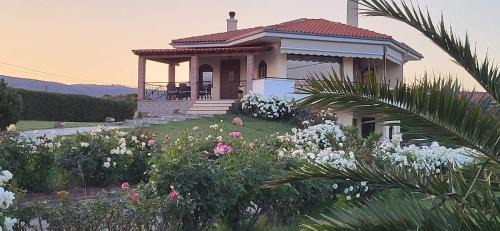 Villa Harry's in Alexandroupoli