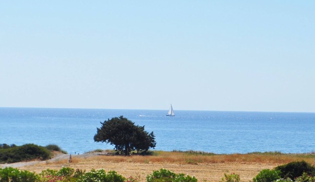 Villa Imerti-Private Beach-Heated Pool-Jacuzzi Spa & SunBeds in palm trees beach in Κιοτάρι