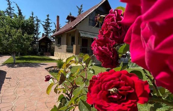 Villa Katerina in Nea Kallikrateia