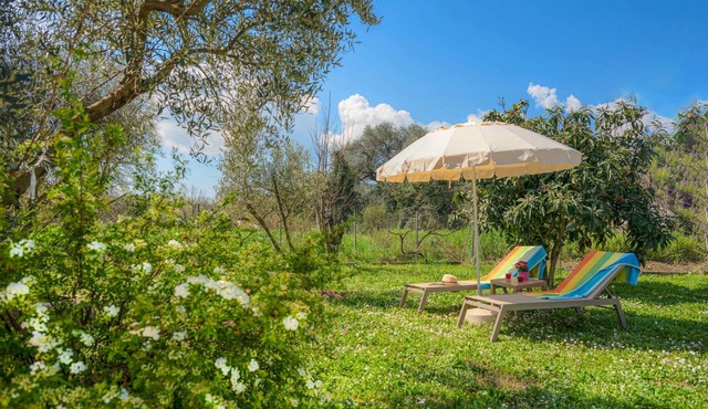 Villa Poros in Ionian Islands in Ionian Islands