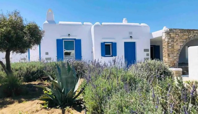Villa Verdi Mykonos in mykonos