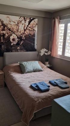 A Cozy Affordable Place at Voula in Athens
