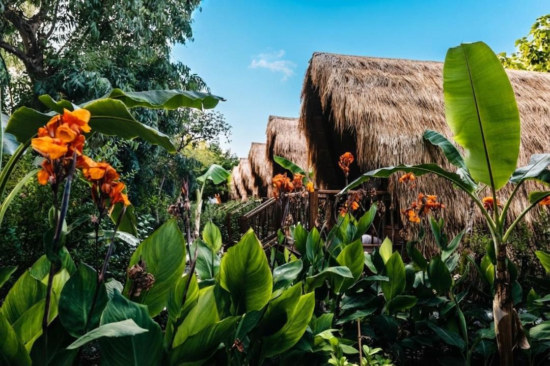 Drepano Resort | Argolic Strand Glamping