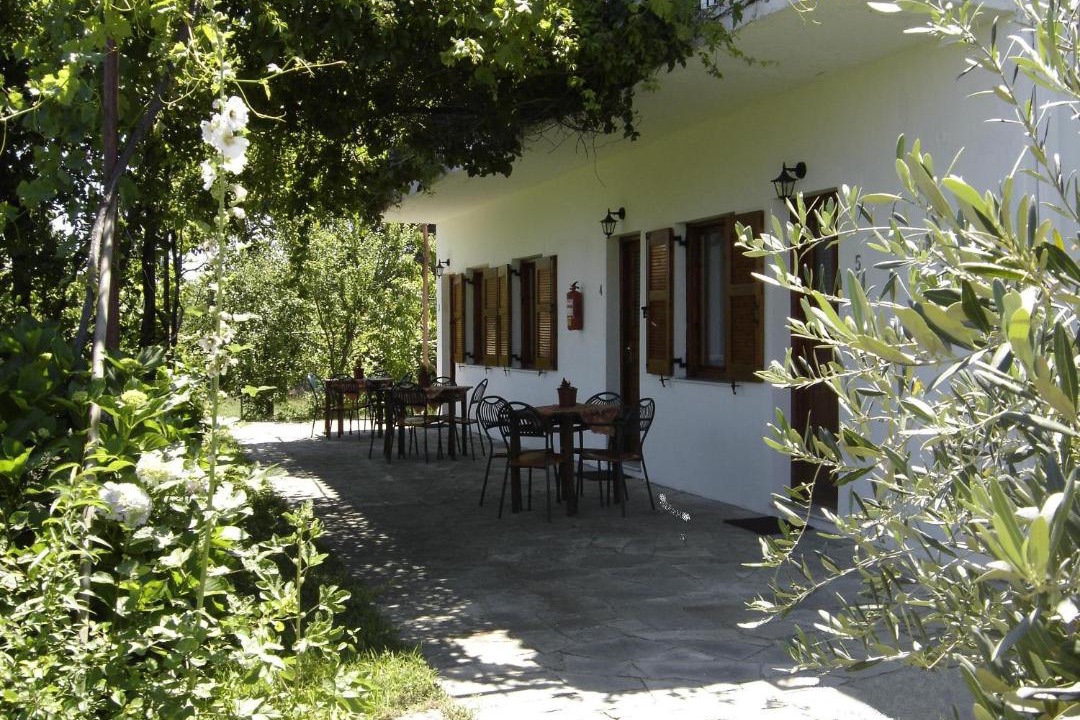 Ano Kariotes Apartment | Petrouda's Apartments