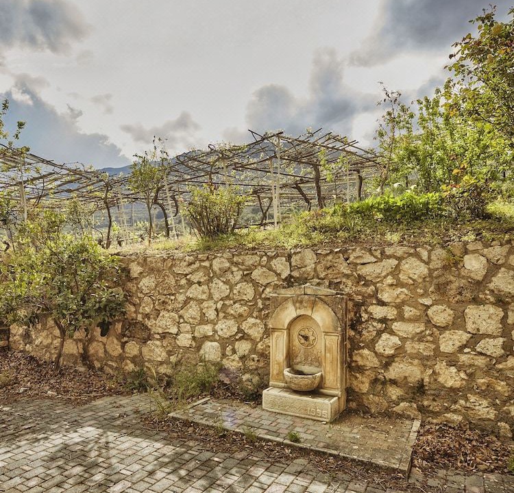 Photo of Others in Asites