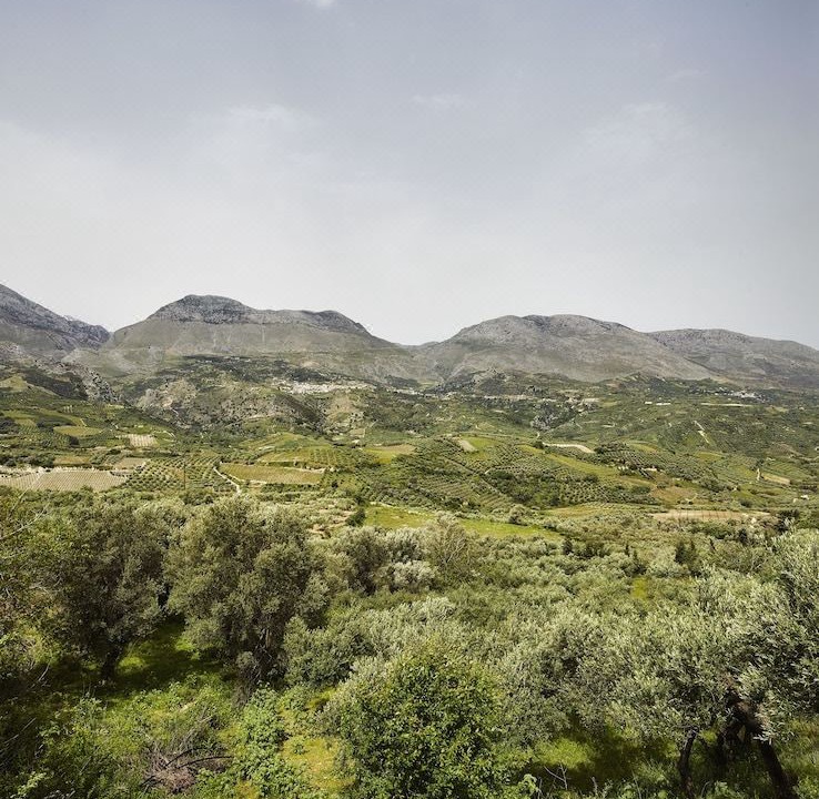 Photo of Outdoor in Asites