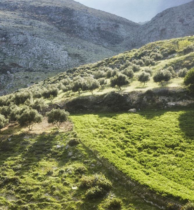 Photo of Outdoor in Asites