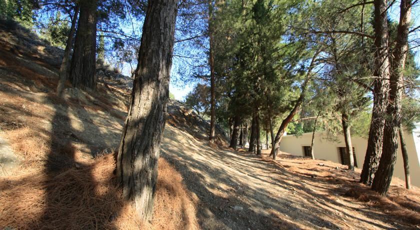 Photo of Buildings in Asites