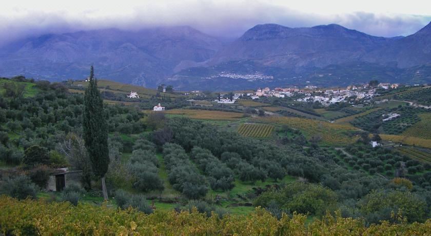 Photo of Outdoor in Asites