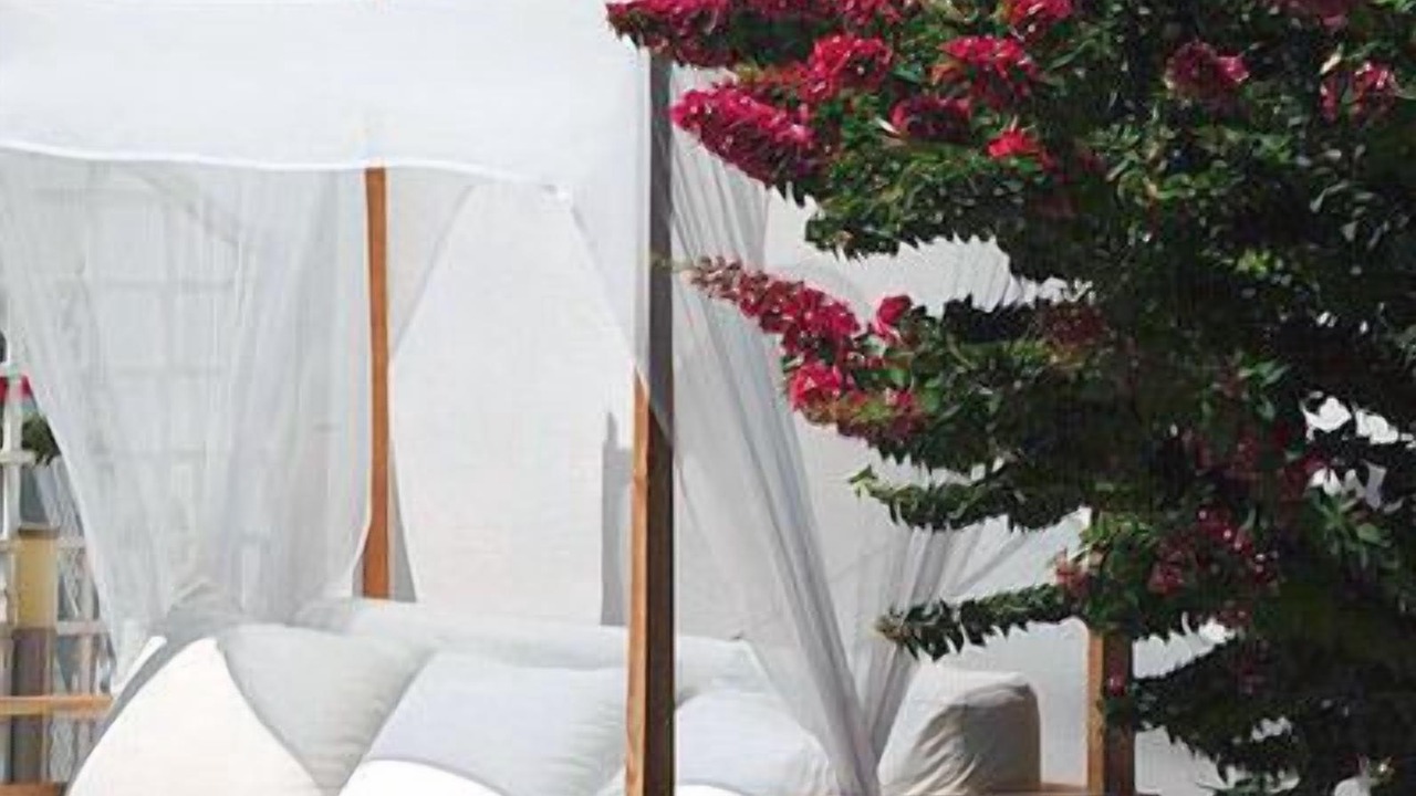 Photo of Outdoor in Artemonas