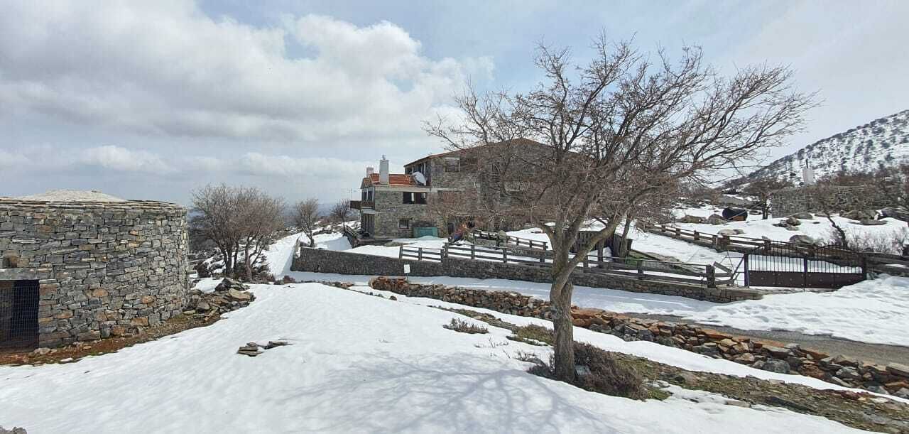 Photo of Outdoor in Mylopotamos