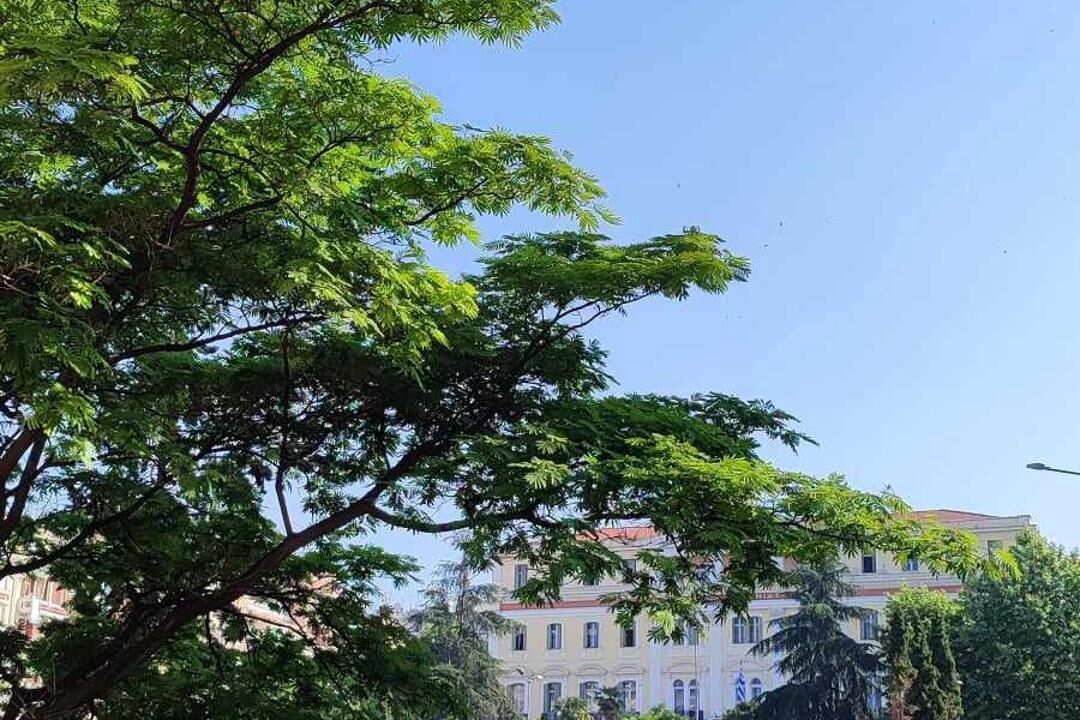 Photo of Outdoor in Thessaloniki City Centre
