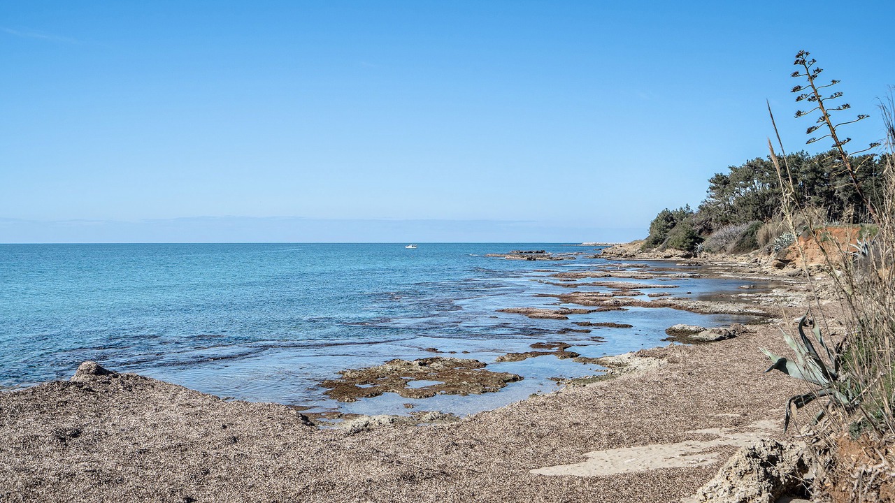 Photo of Others in Preveza