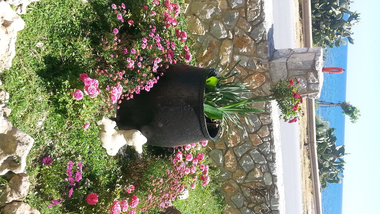 Photo of Outdoor in Kalyves