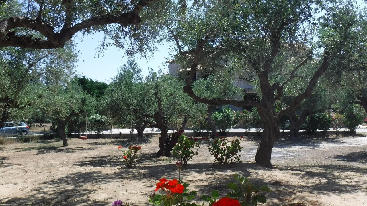 Photo of Outdoor in Ano Vasilikos