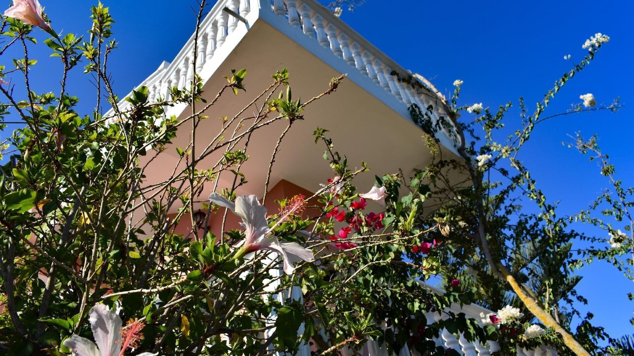 Photo of Outdoor in Ano Vasilikos