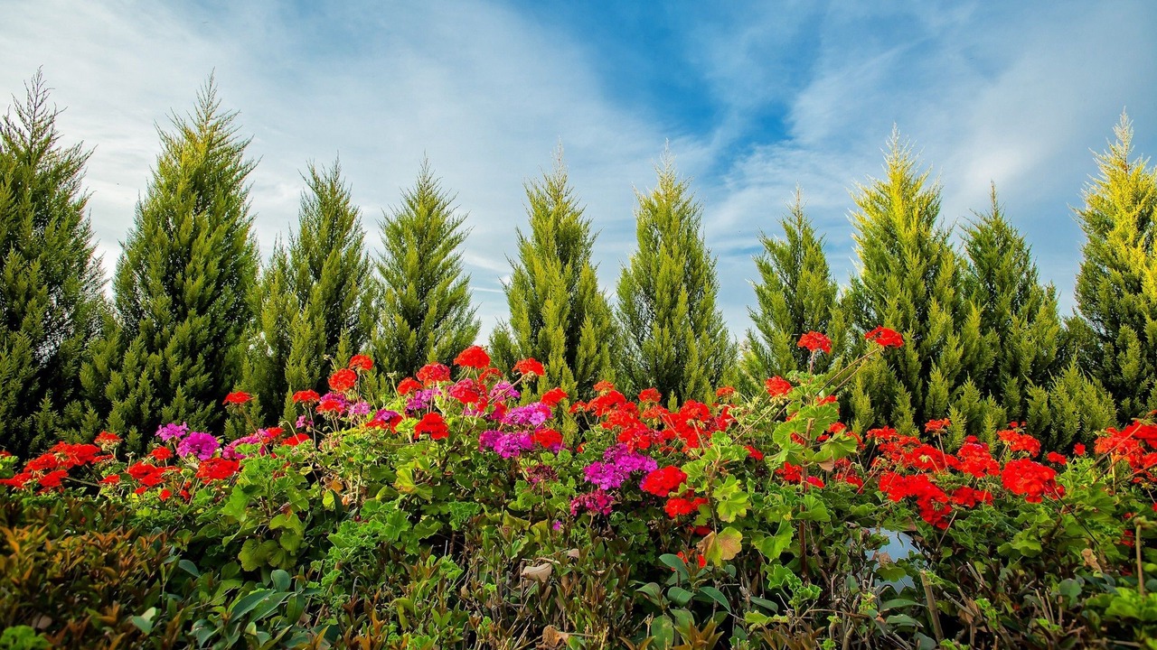 Photo of Outdoor in Pefkochori