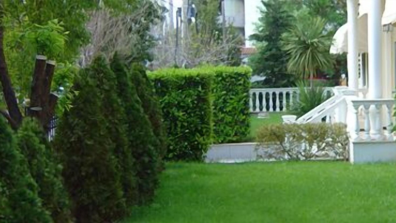 Photo of Outdoor in Metamorfosi