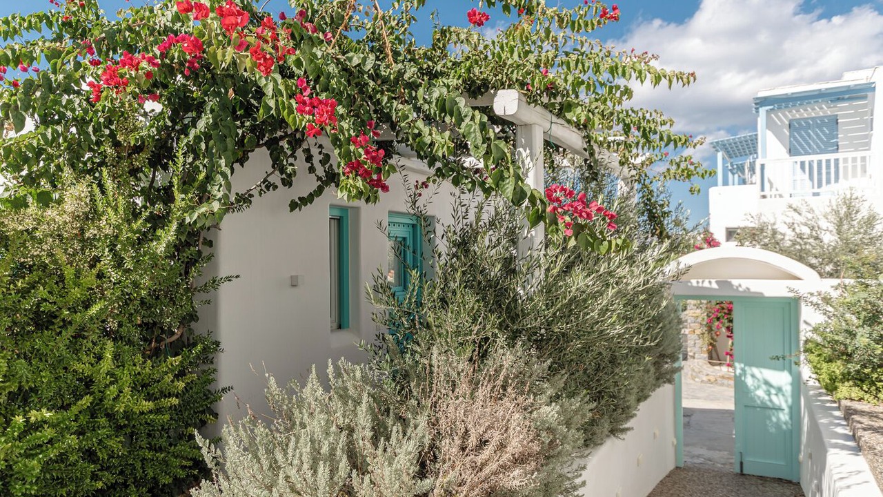 Photo of Outdoor in Agia Anna