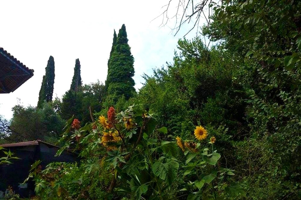 Photo of Outdoor in Kontokali