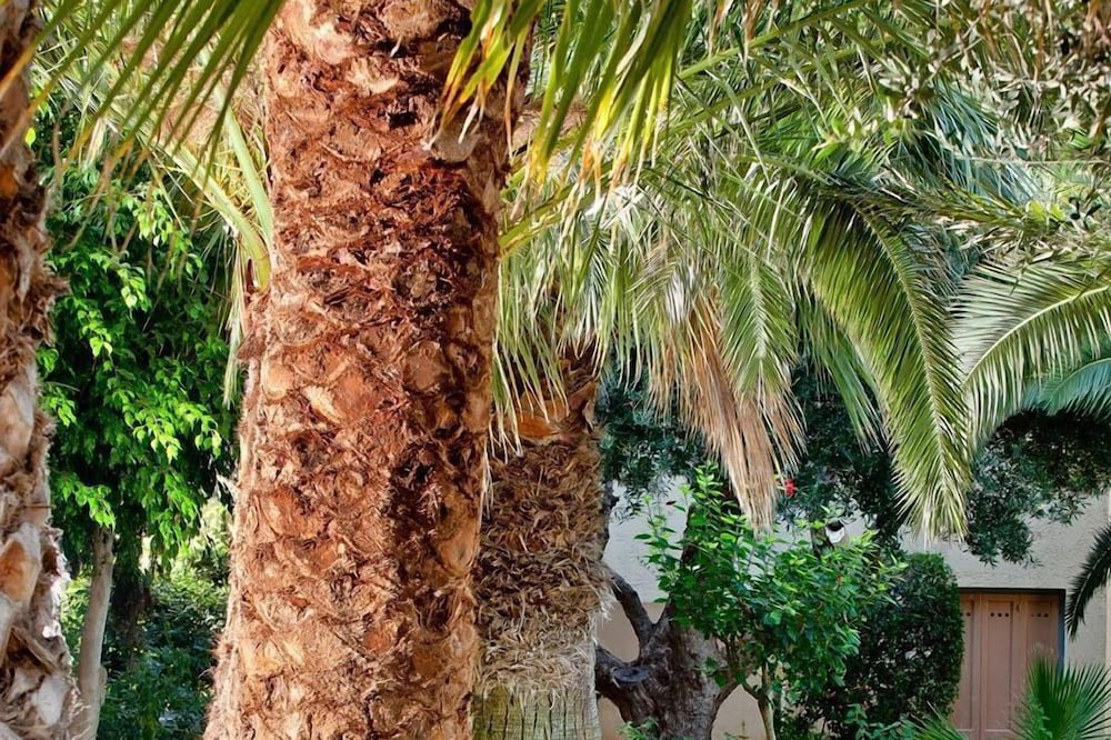 Photo of Outdoor in Koutouloufari