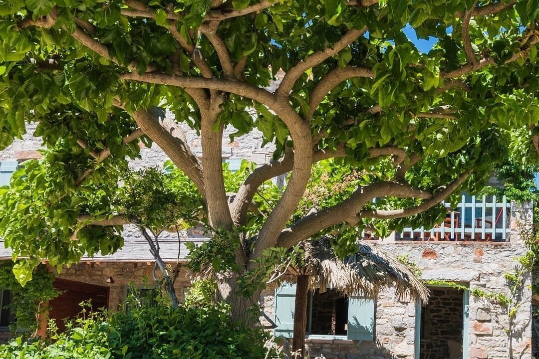 Photo of Outdoor in Kithira