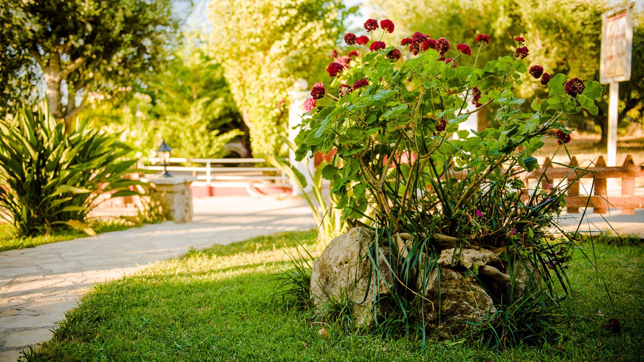 Photo of Outdoor in Psarou