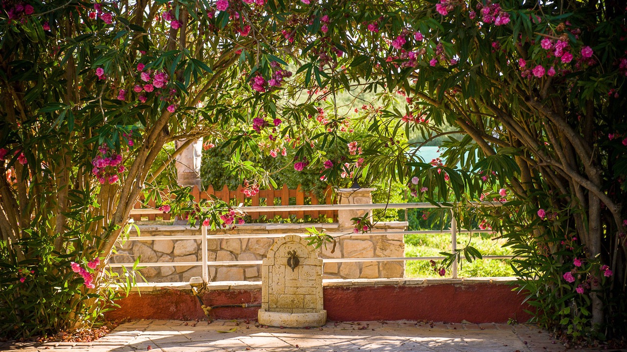 Photo of Outdoor in Psarou