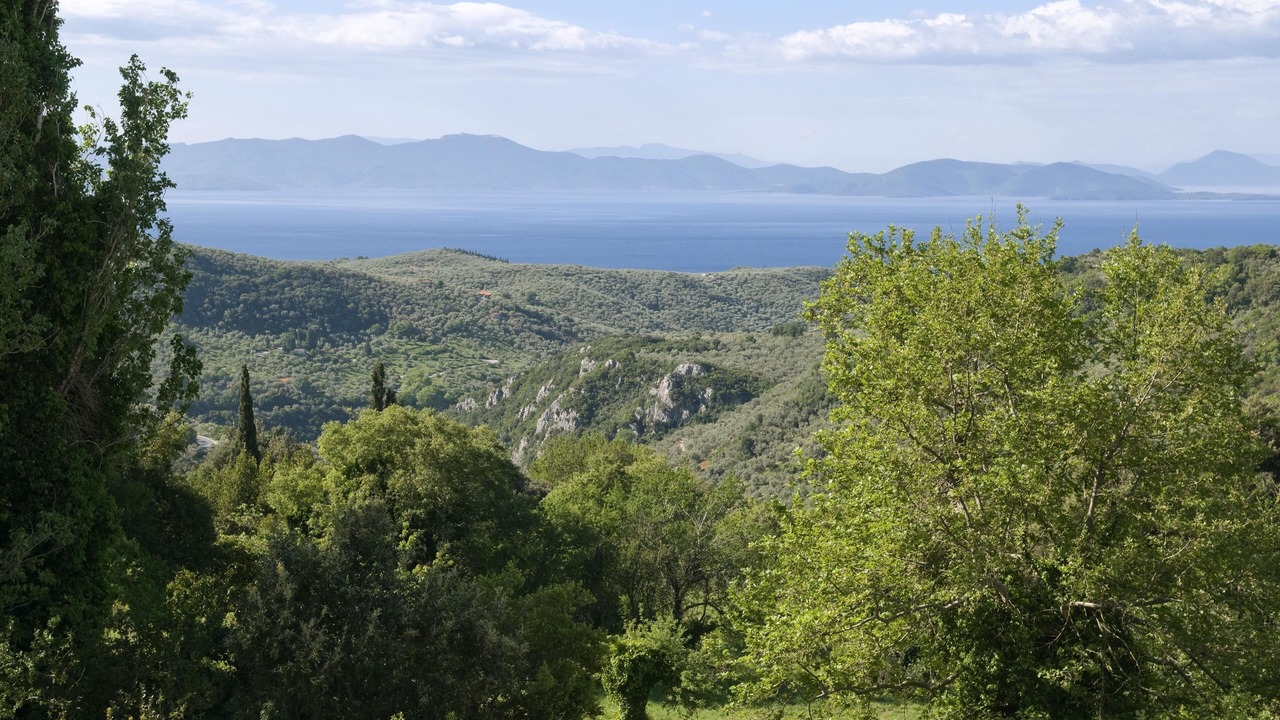 Photo of Others in Vizitsa