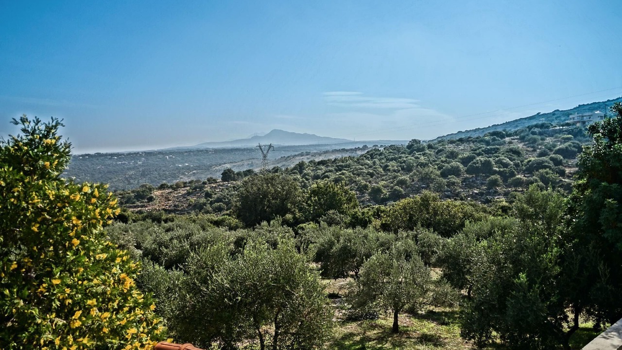 Photo of Others in Gerani