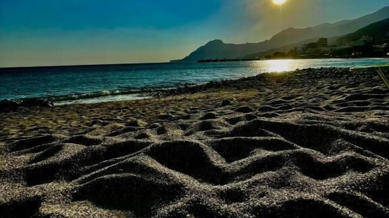Photo of Others in Plakias