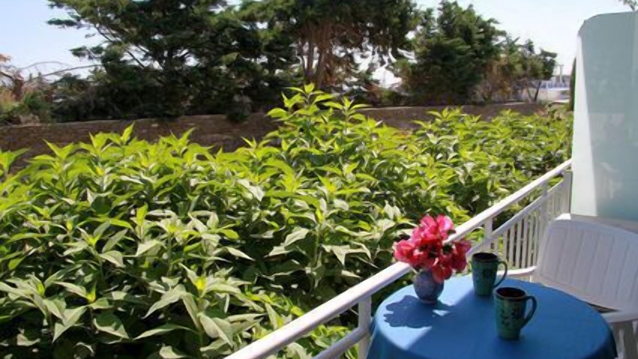Photo of Outdoor in Artemonas