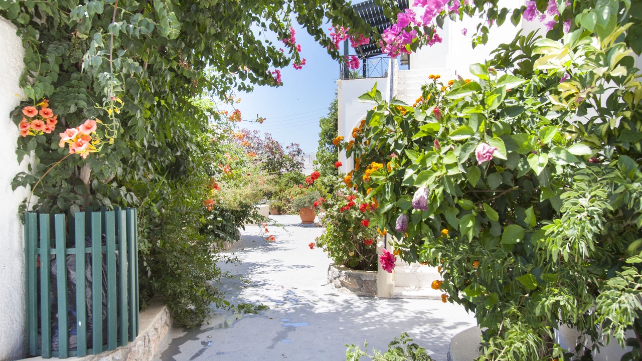Photo of Outdoor in Perissa