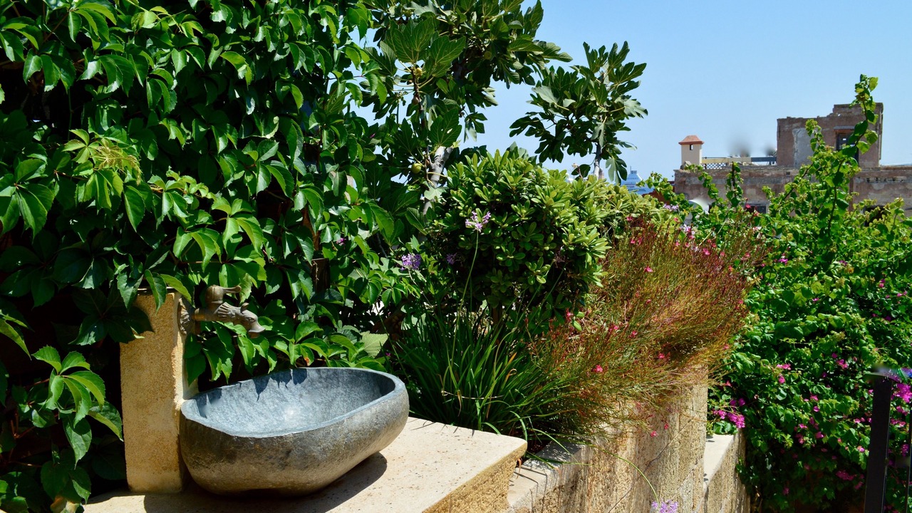 Photo of Outdoor in Rhodes Old Town