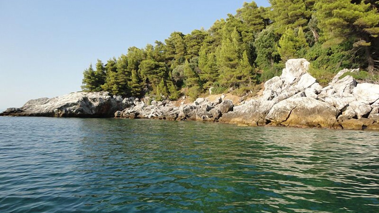 Photo of Others in Pilio