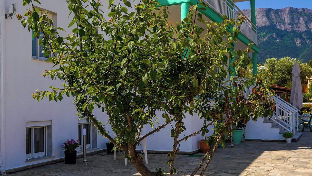 Photo of Outdoor in Chrisi Akti