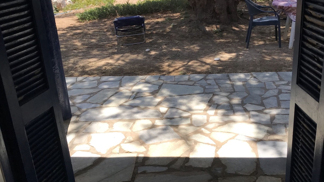Photo of Outdoor in Diasella