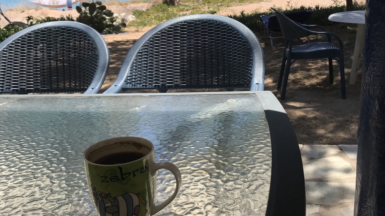 Photo of Outdoor in Diasella