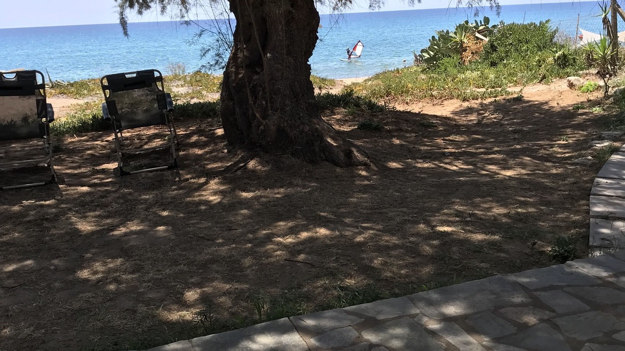 Photo of Outdoor in Diasella