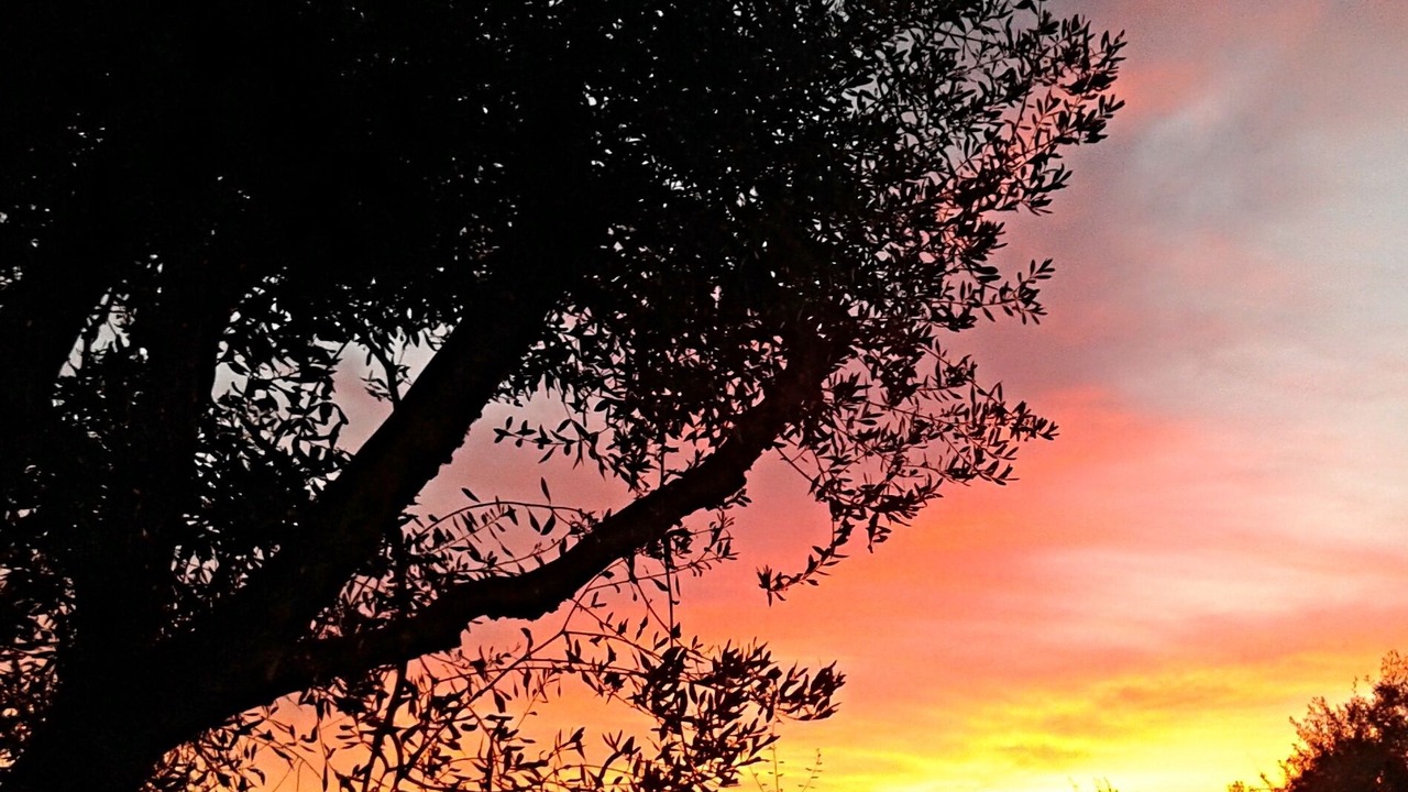 Photo of Outdoor in Benitses