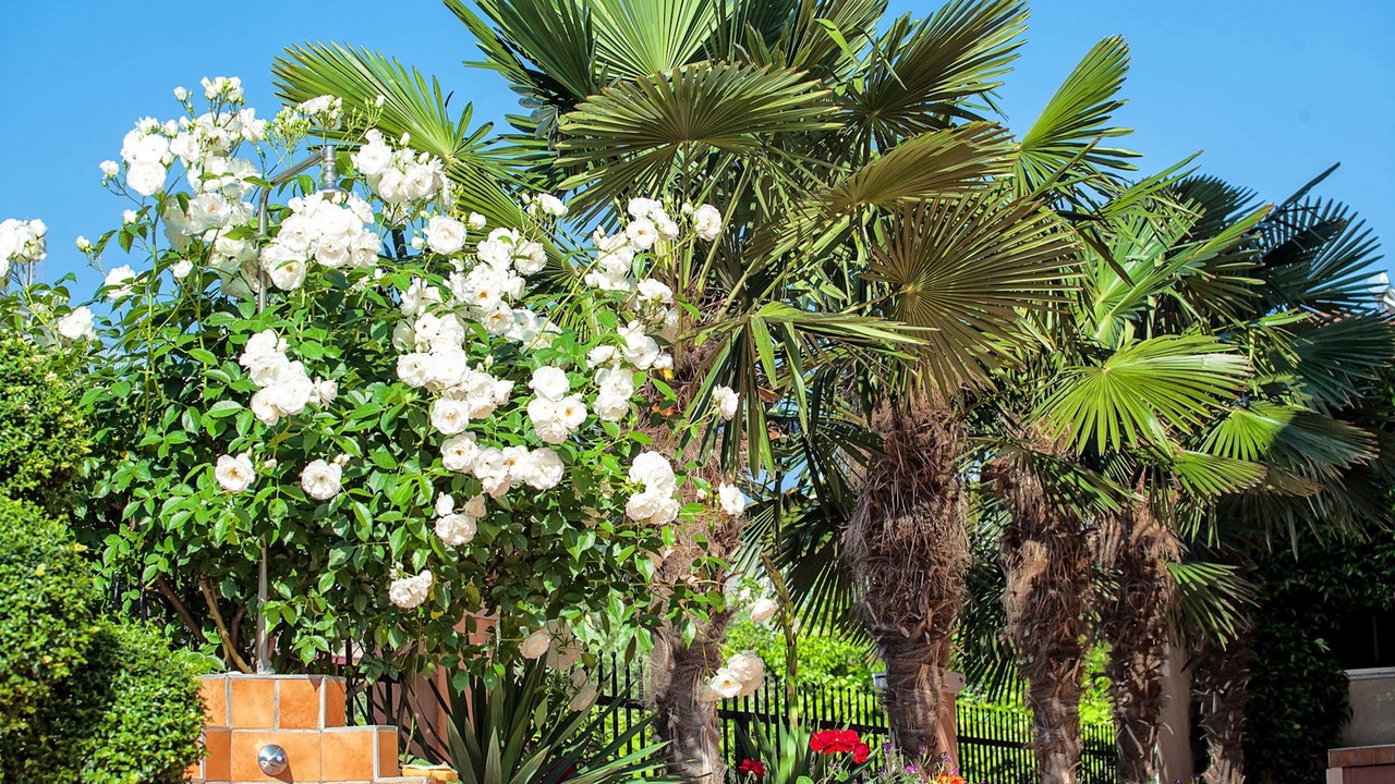 Photo of Outdoor in Olymbiaki Akti
