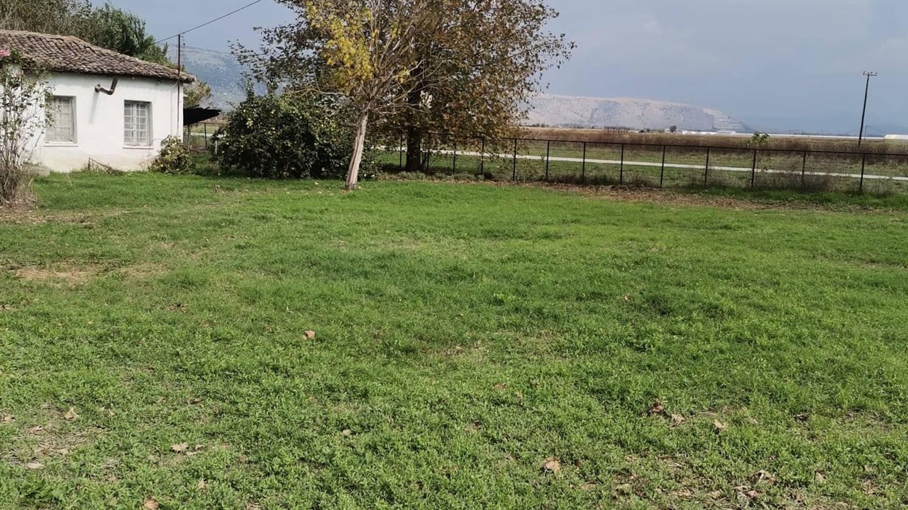 Photo of Others in Faneromeni