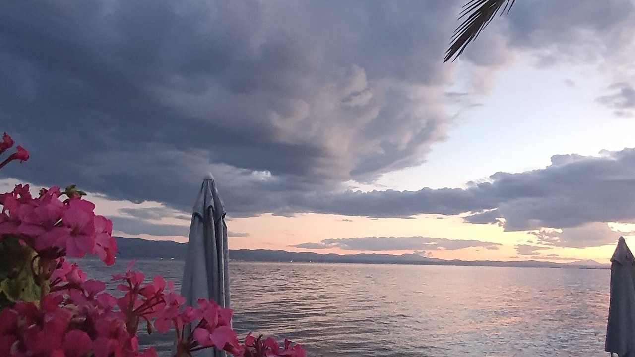 Photo of Others in Amarinthos
