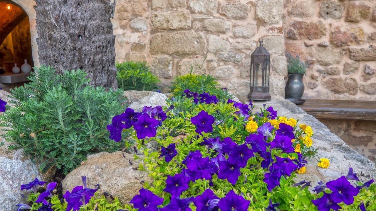 Photo of Outdoor in Rhodes Old Town