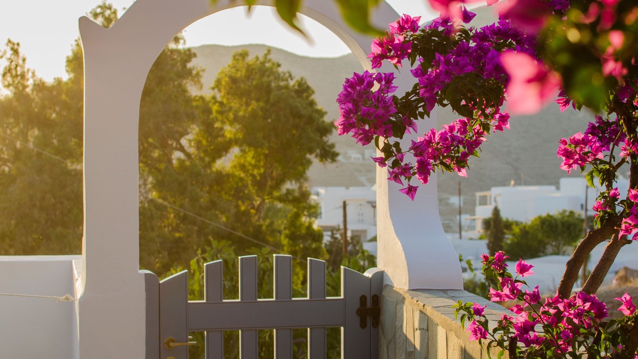 Photo of Patio Balcony in Ios Town