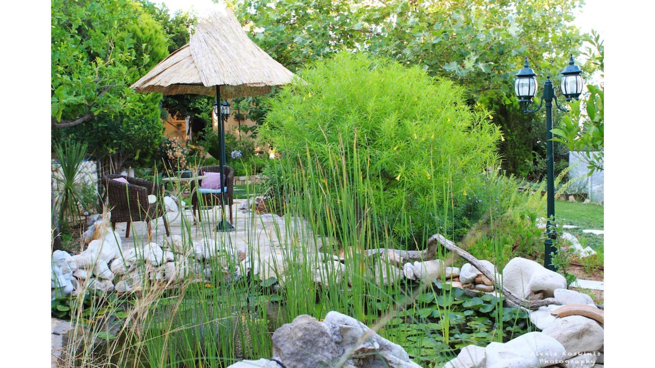 Photo of Outdoor in Sitia