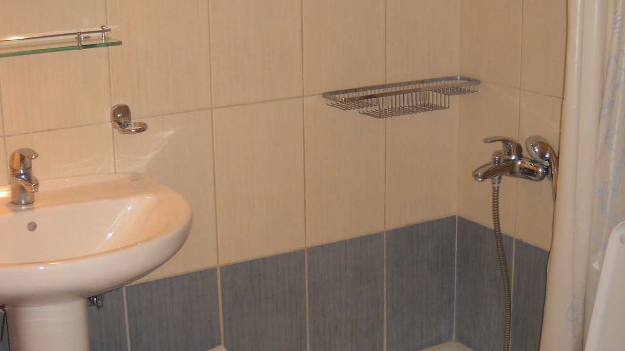 Photo of Bathroom in Platanes