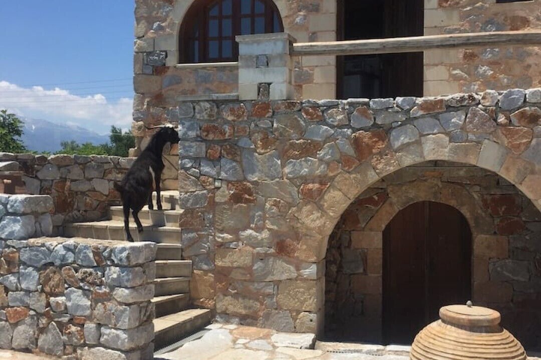 Photo of Outdoor in Kefalas
