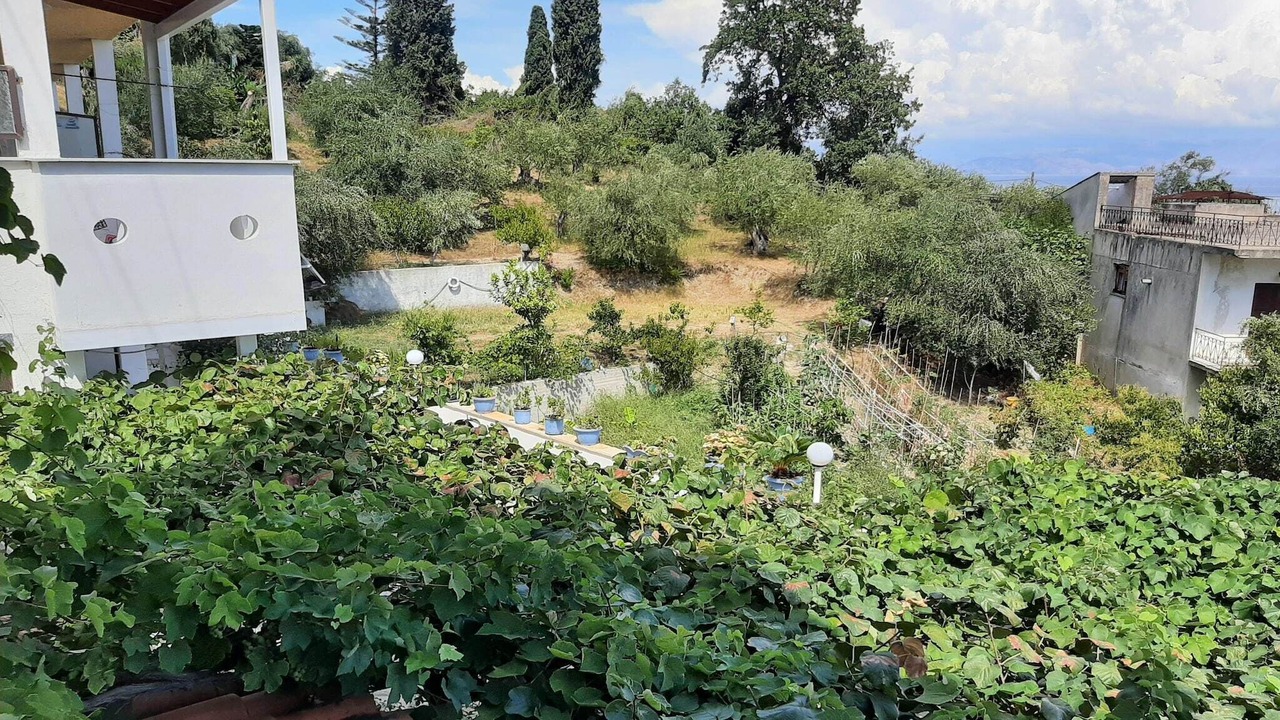 Photo of Others in Dafnata